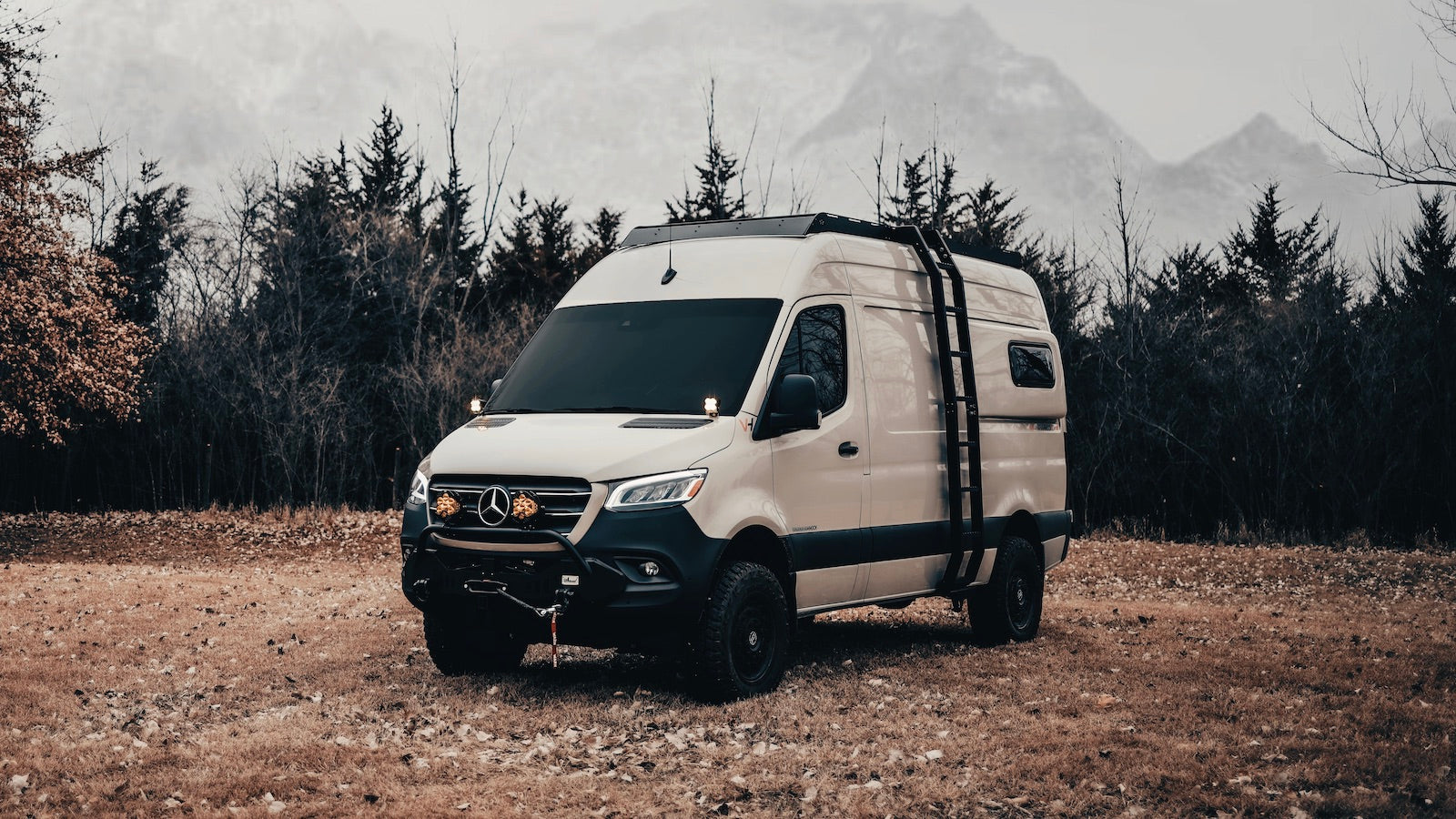 Image of Mercedes Sprinter 2019-2025.